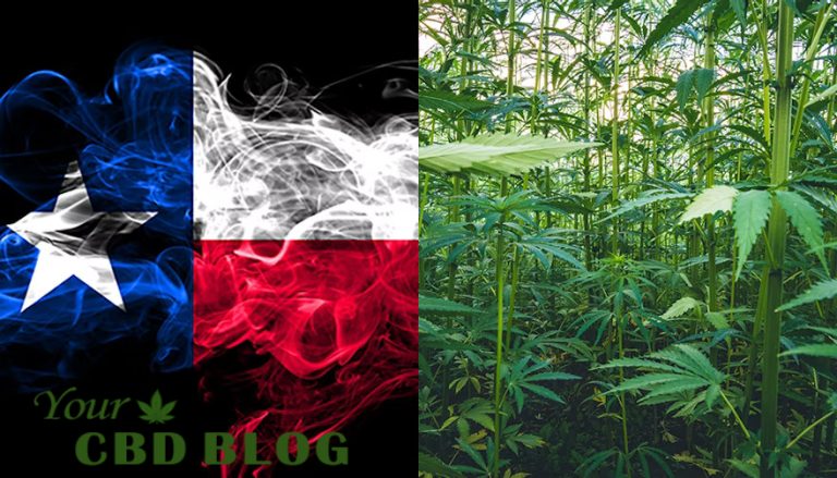 New Texas Hemp Rules Take Effect, Limiting Sales to Adults 21 and Older